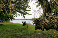 Brazil-Rio/Sao Paulo-Darwin's Rainforest Trail